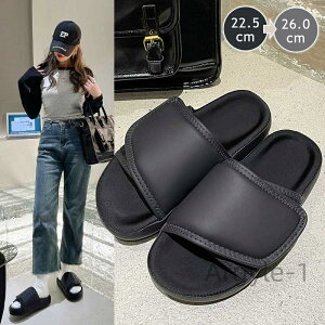 yzXbp GA[NbVV[Y T_Xbp ~  y _炩   ؍t@bV Mtg