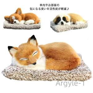 yzL Ɨp ԗp  LY L  Aj}  p_ Y  C y ΍ L  ԓp p