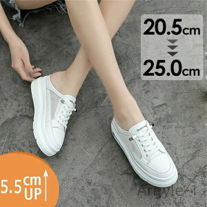 yzr JWA V[Y E₷ ₷ Xj[J[T_ T{T_ i zCg TCY ƂȂ