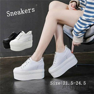 yz 21.5/22.0/22.5/23.0/23.5/24.0/24.5 ₷ V[Y C ȂC [XAbv ҂ݏグ   fB[X