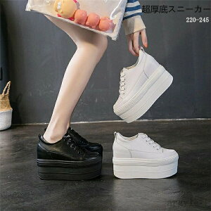 yzXj[J[ Ȃ ʊw ₷ t@bV fB[XC 12cmq[  r ~ JWA C sAo|