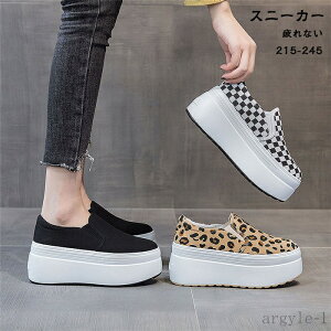 yzXj[J[ Ȃ ʊw ₷ t@bV fB[XC 8cmq[  r ~ JWA C s o| t