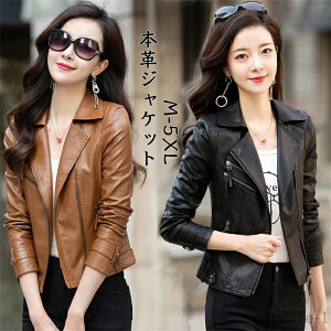 yzvR[g U[WPbg  AU[ H~AE^[ {vp[J[ V[g  ubN 