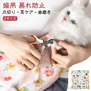 yz^I L  ObY ނ }WbNe[v̂悤 Q[@ O[~O ܐ؂ J g~O ` Jbv