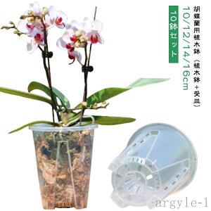 yzAւ vX`bN O Ӓ  10Zbg v^[ m t  Aؔ Zbg I[Lbh|bg 