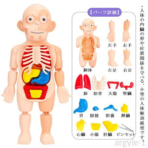 yzqǂ gݗ   ̉Uf l̉U͌^ l̉Uf{fB l̖͌^ l̃pY