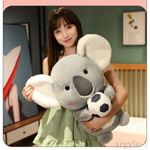yz50cm Mtg NX}X a j v[g 蕨 _炩 Gӂӂ   RA ʂ