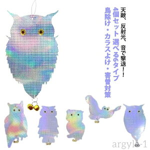 yz| x_ Q΍ ̃t΍ ŉ镗  LL Vo[ h ObY ΍ 悯 x  tNE