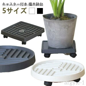 yzړԑ  ړ | g[ u  LX^[  v^[gC O v^[ t[X^h