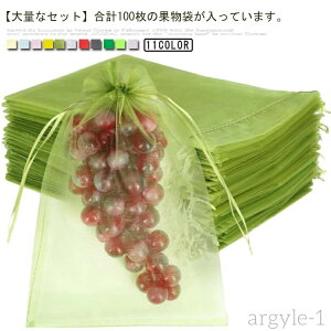 【送料無料】果実 光通過 保護ネット 防鳥 園芸ネット 保護 フルーツネット ネット 防虫 ネット 果物袋 果物保護ネット 巾着袋 防虫 野菜