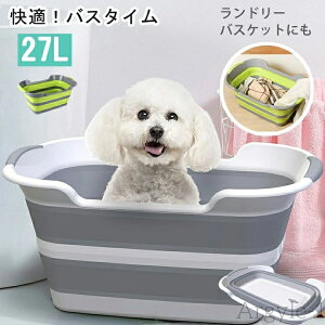 yzybg oX^u ܂肽ݎ ybgoX^u ܂ ܂肽 oXPbg L  y v ybg RpNg[   ܂݃oPc