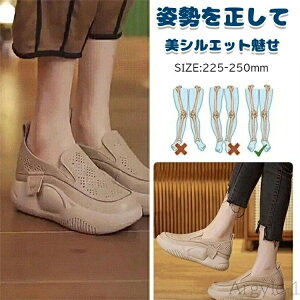 yzpvX EhgD胍[t@[[fBXV[Y JWAV[Y fB[X RȂ Xj[J[ fB[X Xb| bV 