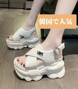 yzT_ fB[X q[8cm ₷ X|[cT_ X|T ꂢ T_ RtH[gT_ Xj[J[T_