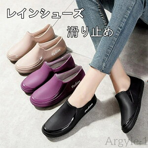 yzCV[Y fB[X JC [t@[ Xb| y y tbgV[Y  C  ₷  Cu[c