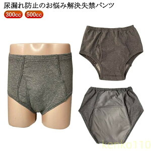 yz300cc pc ARpc hV 500cc ̓ փpc  S jp  {NT[pc zpc e npc Y R 傫TCY  A e 