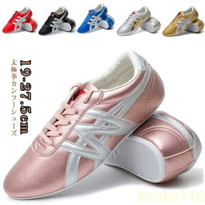 【送料無料】太極拳用シューズ 太極拳 カンフーシューズ 太極拳シューズ レザー シューズ 太極拳靴 カンフー靴 功夫靴 本革 中国武術 太極拳服 ウェア 剣 拳法 トレーニング シューズ メン?