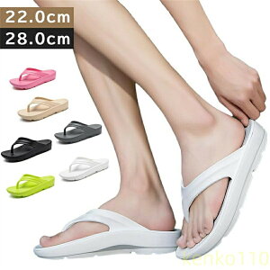 yzjp EVA r[`T_ fB[X Y r[T  q[ y Y ɂȂ ₷ IV ȂT_ lC ~ JWAV[Y 傫?