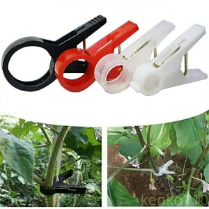 yzUNbvy 100 zLE iX |Nbv K[fjO U  ƒ؉ U  K[f pi _  |pi _Ɨpi _Ɨp _Ǝ ֗ Ob?