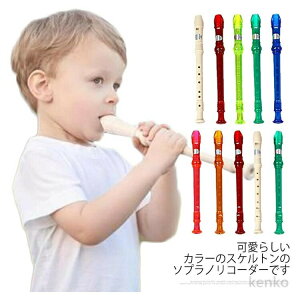 yzR[_[ qlp wZ qp t[g ߋ \vmR[_[  |_t LbY y j̎q@̎q 2_Zbg