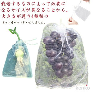 yz25 Ԃǂ h uhE т₷ lbg ʎphlbg iIʕ ʕیobO bV ʋC В  悯 悯lbg 悯lbg