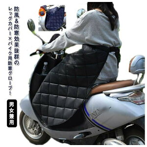 yzbOJo[ h oCN uPbg Ђ| h XN[^[ Jo[ bOEH[}[ G| O[ut h h {A J ȓ hObY hGv