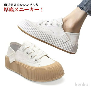 yzXj[J[ Xj[J[  _bhXj[J[ fB[X ʋ JWA 4cmq[ r 邫₷ Ȃ i C V[Y  ؍ ʊw