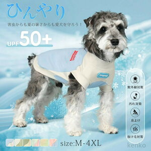 y|Cgő8{zyz^    hbOEGA ̕ Ђ ڐG⊴ h 悯 ^Ngbv N[ N[EFA cool  ⊴  Jo[I[  ^