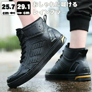 y|Cgő8{zyzCV[Y Y Cu[c rWlX h JWAV[Y AEghAʋ Ɨp ނ  Jp h 䕗 ~J΍ JC ₷ 