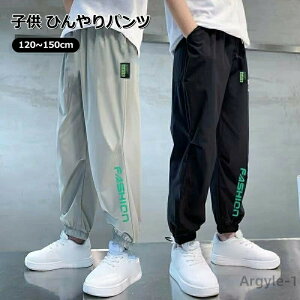 yzj̎q q ⊴  ĕ TGpc  W[W Ђ ڐG⊴ pc t  Y{ qǂ