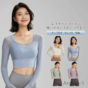 yzKEFA fB[X gbvX  C[h  bV X|[cEGA g[jOEFA tBbglX