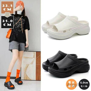 yzT_ fB[X Xbp 5cmq[  T_  O [V[Y L ؍t@bV T_ 