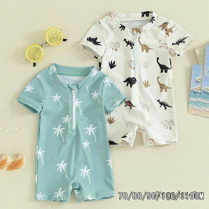 yzLbY  xr[  j̎q p[X  I[C   { UVJbg xr[XC~O q