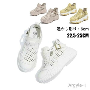 yzXb| fB[X  T_   Xj[J[ L 6cmgAbv ʋCz fB[XV[Y