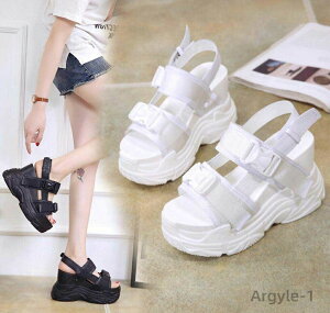 yzT_ Xj[J[T_ fB[X T}[T_ T_ X|[cT_ T_  L T_