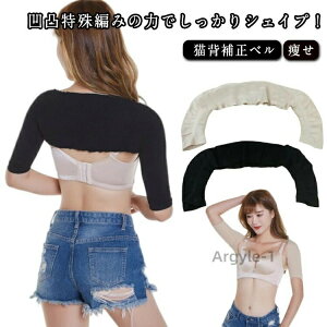 yz̘rVFCp[ ̘r Lw A[VFCp[  b   ̘r p␳ w ̘rVFCp[