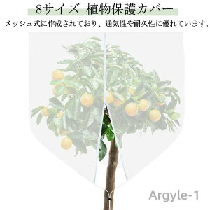 yz _ Ap AیJo[ hlbg Aی DIY ʎ hlbg Wbp[t O ݂ |plbg