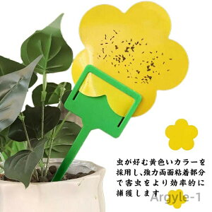 yz悯 SV[g 20Zbg  ʃe[v XgO Ԍ` F Qߊl ߒV[g Q΍pi  ʔS