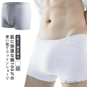 yzX|[c 100 ʕ pc 100 s 5 ĝăpc Rbg @ V[c jp  Y ĝ ֗