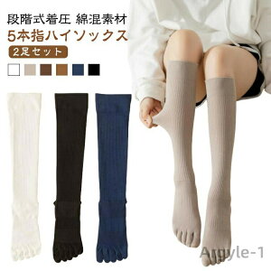 yz ₦Ƃ y2Zbgz 5{w nC\bNX fB[X Y  t VFCv\bNX y2Zbgz C g