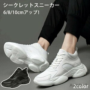 yzV[NbgV[Y 6/8/10cmAbv V[NbgXj[J[ Y fB[X Xj[J[ Cq[Xj[J[