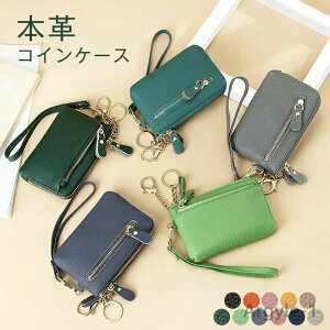 yzK RCP[X ~jz fB[XobO Jo Y {v t@Xi[t z RpNg ɏ ɔ  z