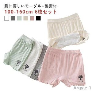 y|Cgő8{zyzǂ WjA   pc w {NT[pc 6Zbg  100cm LbYCi[ LbY  K[Y ct