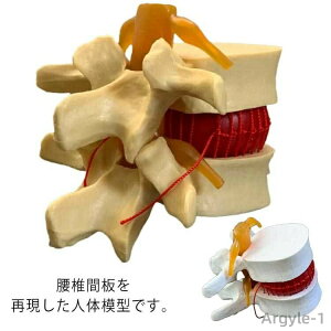 yzŊԔ ͌^ ڍ@ l̖͌^ i͌^ [   iW{ ͌^ [͌^ l͌^ Ԑږ͌^ Ŗ͌^ f l