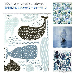 yzJ[e Ԏd؂ k Cm CJ  CJ[e  hJr Ȃ V[J[e vł킢