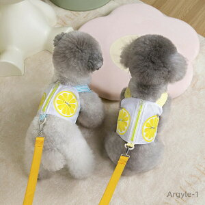 y|Cgő8{zyz n[lX [ht xXg   t[c  ^ w|Pbg ؍  2_Zbg 