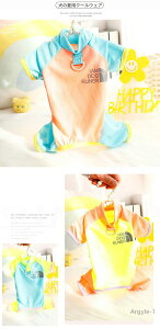 y|Cgő8{zyz⊴  Ȃ Jo[I[ ^ h h UVJbg N[EFA p[X DJt  M  