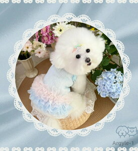 yz̕ ^ s[X t `` [X `[hX  ʋC t ĕ DJt `[s[X