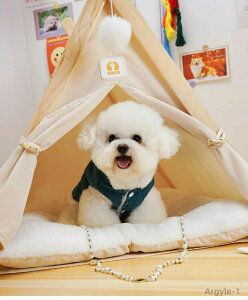 yzybg NX}X H~ R[g WPbg 蕨 ||t  hbOEFA L {A N  g