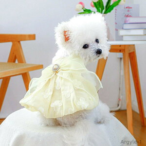 y|Cgő8{zyz hX s  hbOEFA  s[X {t ĕ t h? J t  H ^ ̎q 