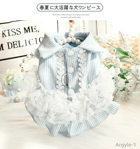 y|Cgő8{zyzs[X   t ĕ DJt wJ XJ[g hX [X 킢 Ȑ ^ ʋC EFAn[lX